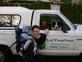 LaffingDogs Lawn & Garden Services image 5