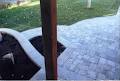 Land n Scape Inc - Landscaping Design, Paving, Snow Removal Services Ottawa image 5