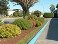 Landscaping Vancouver image 5