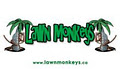 Lawn Monkeys image 2
