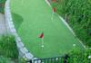 Leisure Greens Synthetic Lawns & Putting Greens image 5
