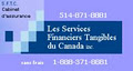 Les Services Financiers Tangibles du Canada logo