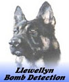 Llewellyn Security image 2