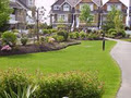 Lubbert's Landscaping Design Company image 2