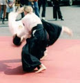 Millennium Martial Arts image 4