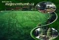Mr Green Thumb Lawn Care Services image 3