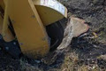 New Ground Tree Stump Removal image 2