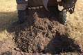 New Ground Tree Stump Removal image 3
