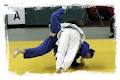 Newmarket Budokan Judo Club logo