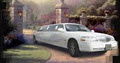Oasis Limousine image 4