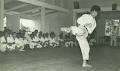 Ontario Karate College image 1