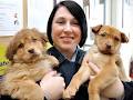 Ontario SPCA Orangeville & District Branch / Animal Control image 4