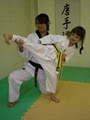 Ooi's Taekwondo image 2