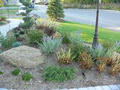 Ottawa Landscaping & Lawn Care Services - Legendary Lawns image 4