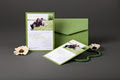 Paper Panache Invitations & Design Ltd. image 4