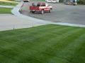 Quality Lawn Care image 4