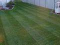 Quality Lawn Care image 5
