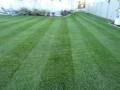 Quality Lawn Care image 1