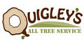 Quigley's All Tree Service image 1