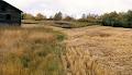 Redberry Lake Biosphere Reserve image 4