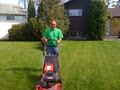 Reliable Yard Care Inc. image 2