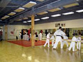 Richmond Hill Karate and Fitness Centre logo