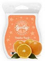 SCENTSY Sarelle Burgess, Independent Scentsy Consultant image 2