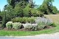 Sage Gardens, Garden Maintenance in Wellington County image 2