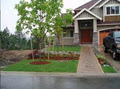 Scott's Gardening & Landscaping image 2