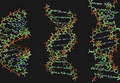 Serotech Laboratories DNA Paternity Testing image 2