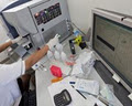 Serotech Laboratories DNA Paternity Testing image 6