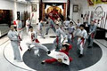 Shaolin wing chun Nam Ngu image 2
