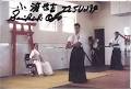 Sherbourne's Okinawan Budokai Martial Arts School logo