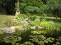 Shibusa Pond & Landscape Services Ltd image 1