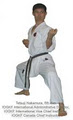 Shudokan Family Karate & Fitness Centre logo