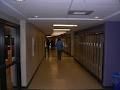Sir John A MacDonald High School image 3