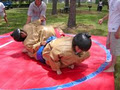 Sumo Suits .ca - Sumo Suit, Sumo Suits, Sumo Wrestling Rentals by Bouncers R Us image 2