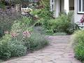 Susanne Osmond Garden Design and Maintenance image 4