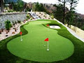 Synlawn Artificial Grass & Custom Putting Greens Ontario image 1