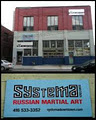 Systema Downtown_Russian Martial Art, Toronto logo