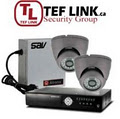 TEF LINK Security Group Inc logo