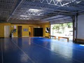 Tecumseh Martial Arts Academy image 3