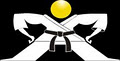 Tecumseh Martial Arts Academy image 4