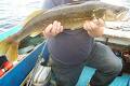 Thunder Bay Fishing Adventures image 3