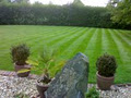 Tony's Quality Lawns image 1