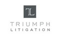 Triumph Litigation image 4