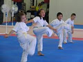Triumph Taekwon-Do image 2