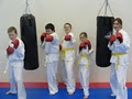 Triumph Taekwon-Do image 3