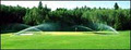 Turf Rain Irrigation Lawn Sprinklers image 4