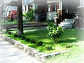 Vivaldi Garden Landscaping image 3